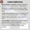 GAFAS MULTIFOCALES INTELIGENTES TR90 CON ZOOM AUTOMATICO, PROTECCION DE LUZ AZUL Y AMARILLA.