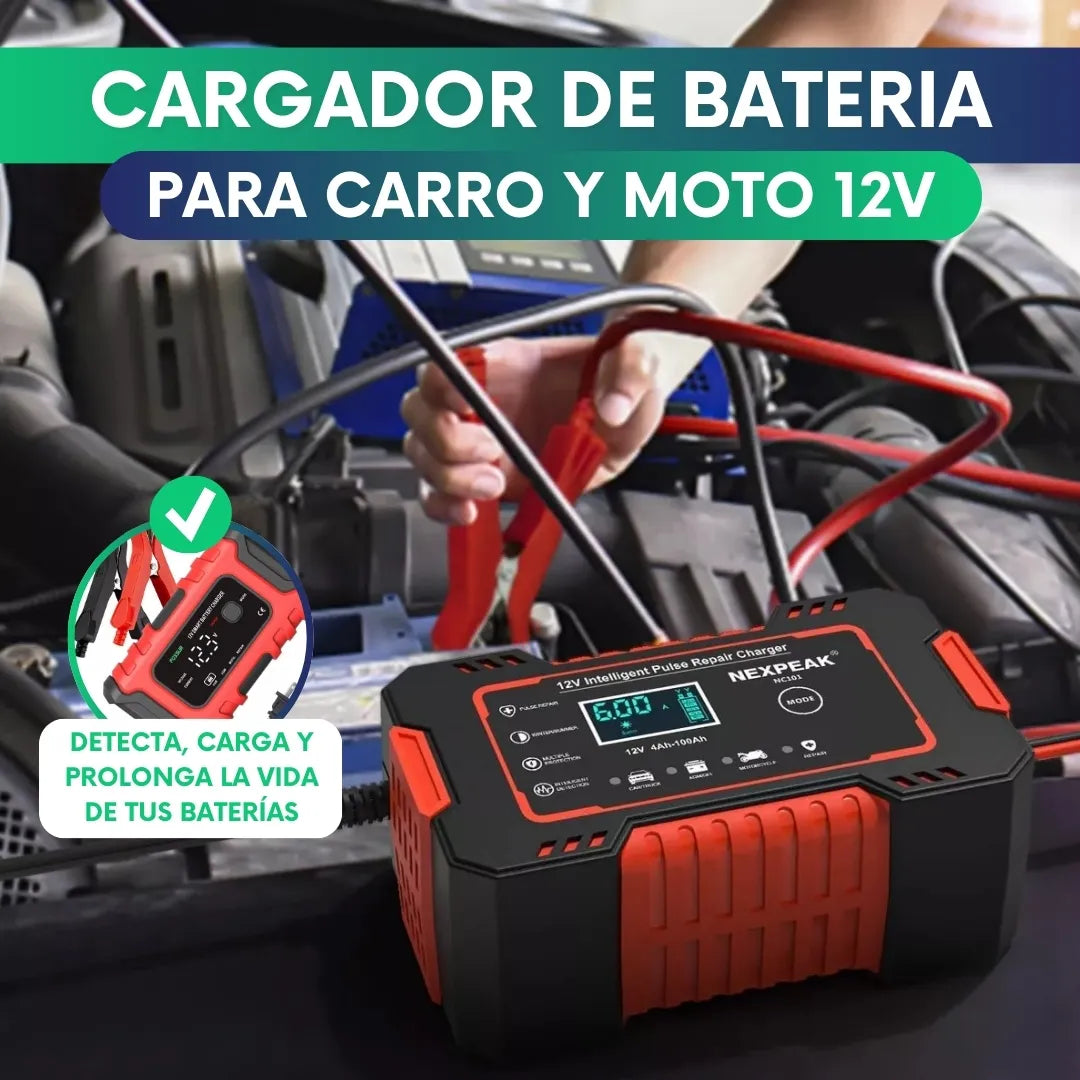 Cargador Reparador de baterias 12V